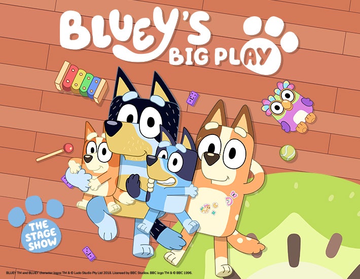 More Info for Bluey's Big Play