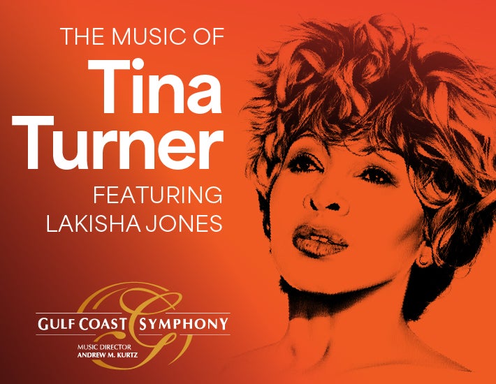 More Info for The Music of Tina Turner featuring LaKisha Jones