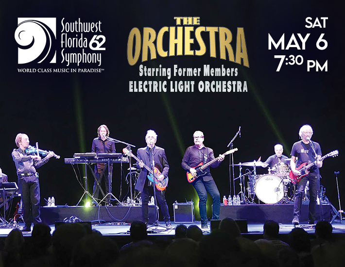 More Info for The Orchestra